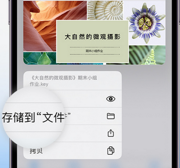 弥渡apple维修中心分享iPhone文件应用中存储和找到下载文件