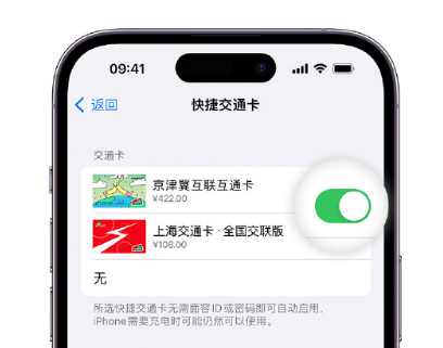 弥渡apple维修点分享iPhone上更换Apple Pay快捷交通卡手绘卡面 