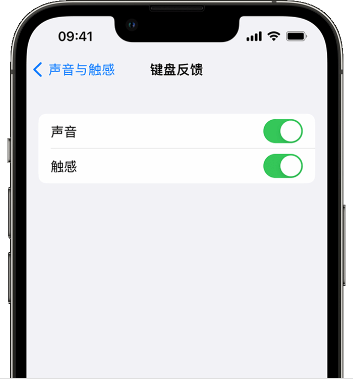 弥渡苹果14维修店分享如何在 iPhone 14 机型中使用触感键盘 