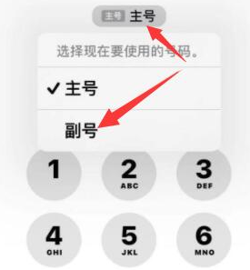 弥渡苹果14维修店分享iPhone 14 Pro Max使用副卡打电话的方法 