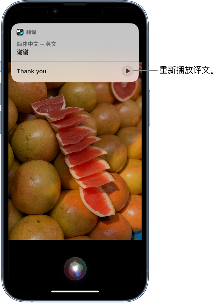 弥渡苹果14维修分享 iPhone 14 机型中使用 Siri：了解 Siri 能帮你做什么 