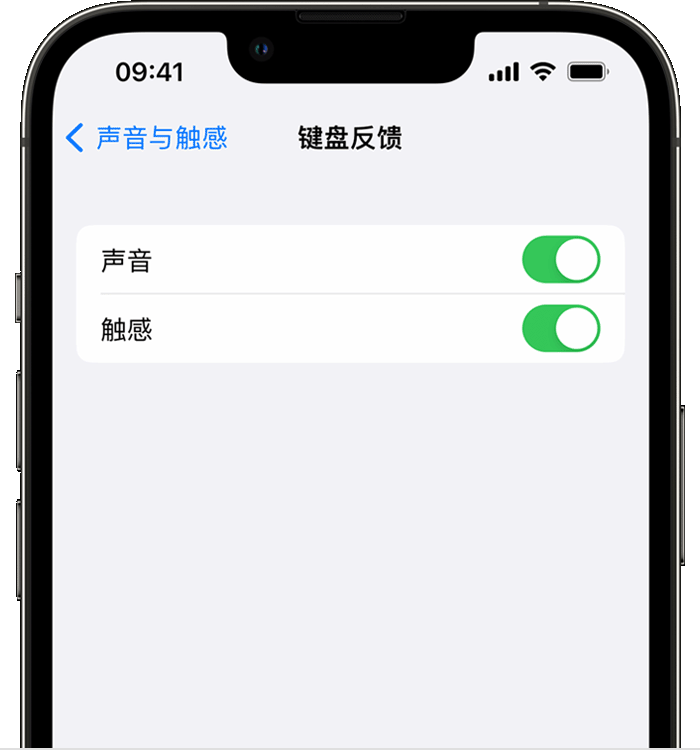 弥渡苹果14维修分享iPhone 14 系列机型如何开启键盘声音或触感反馈 