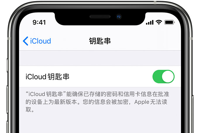 弥渡苹果手机维修分享在 iPhone 上开启 iCloud 钥匙串之后会储存哪些信息 