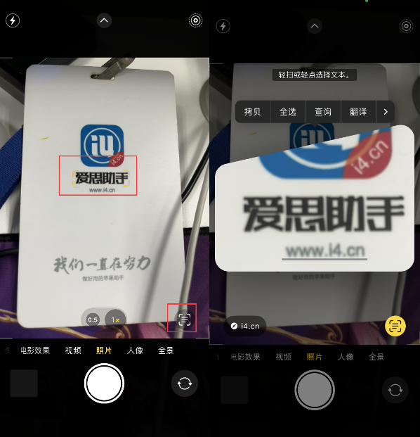 弥渡苹果手机维修分享升级iOS 16后如何通过相机翻译文本 