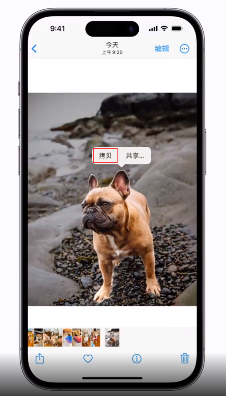 弥渡苹果手机维修分享 iOS 16 自带一键抠图功能 