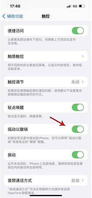 弥渡苹果手机维修分享iPhone手机如何设置摇一摇删除文字 