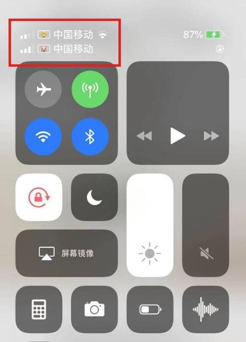 弥渡苹果手机维修分享为 iPhone 12 双卡设置标签 